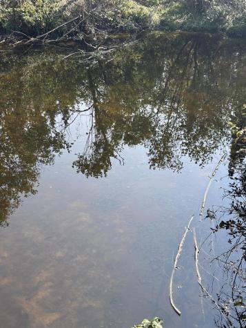 407 Panther Lane Ellenburg Center NY 12934