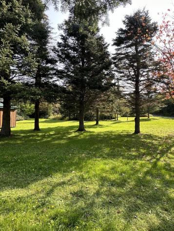 407 Panther Lane Ellenburg Center NY 12934