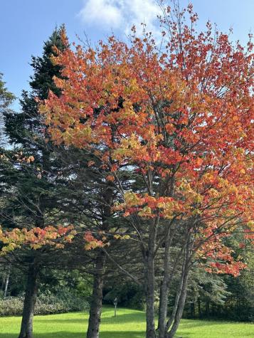 407 Panther Lane Ellenburg Center NY 12934