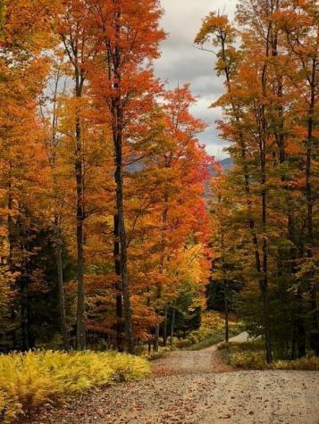 189 Oseetah Woods Road Saranac Lake NY 12983