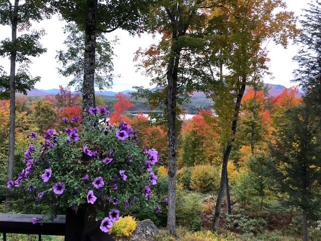 189 Oseetah Woods Road Saranac Lake NY 12983