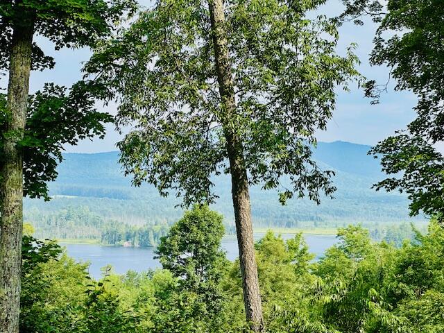 189 Oseetah Woods Road Saranac Lake NY 12983