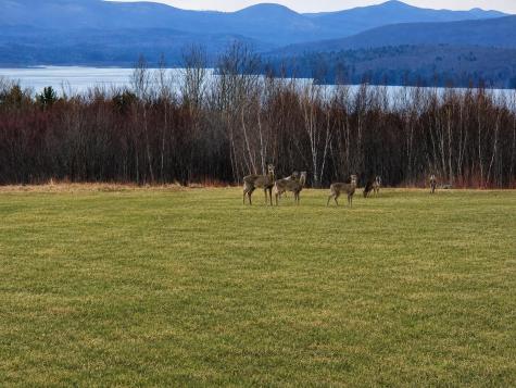 6 Saxe Way Lyon Mountain NY 12955