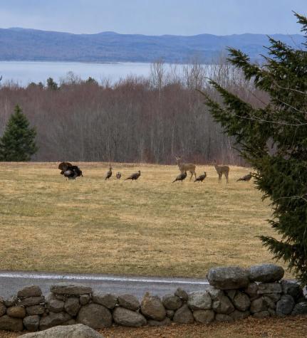 6 Saxe Way Lyon Mountain NY 12955