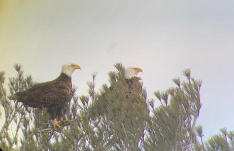 2226 Lakeshore Road Essex NY 12936