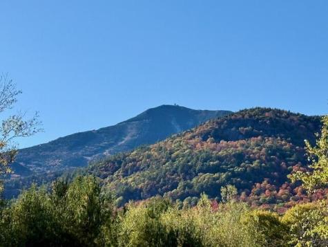 0 Fox Farm Road Wilmington NY 12997