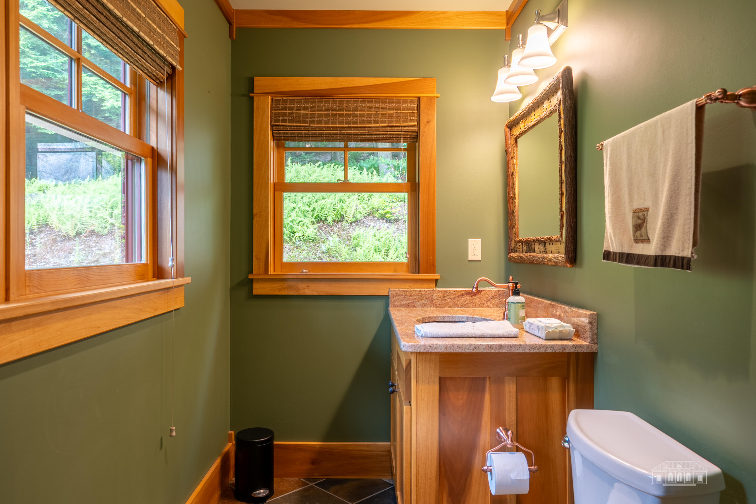 187 Oseetah Woods Road Saranac Lake NY 12983