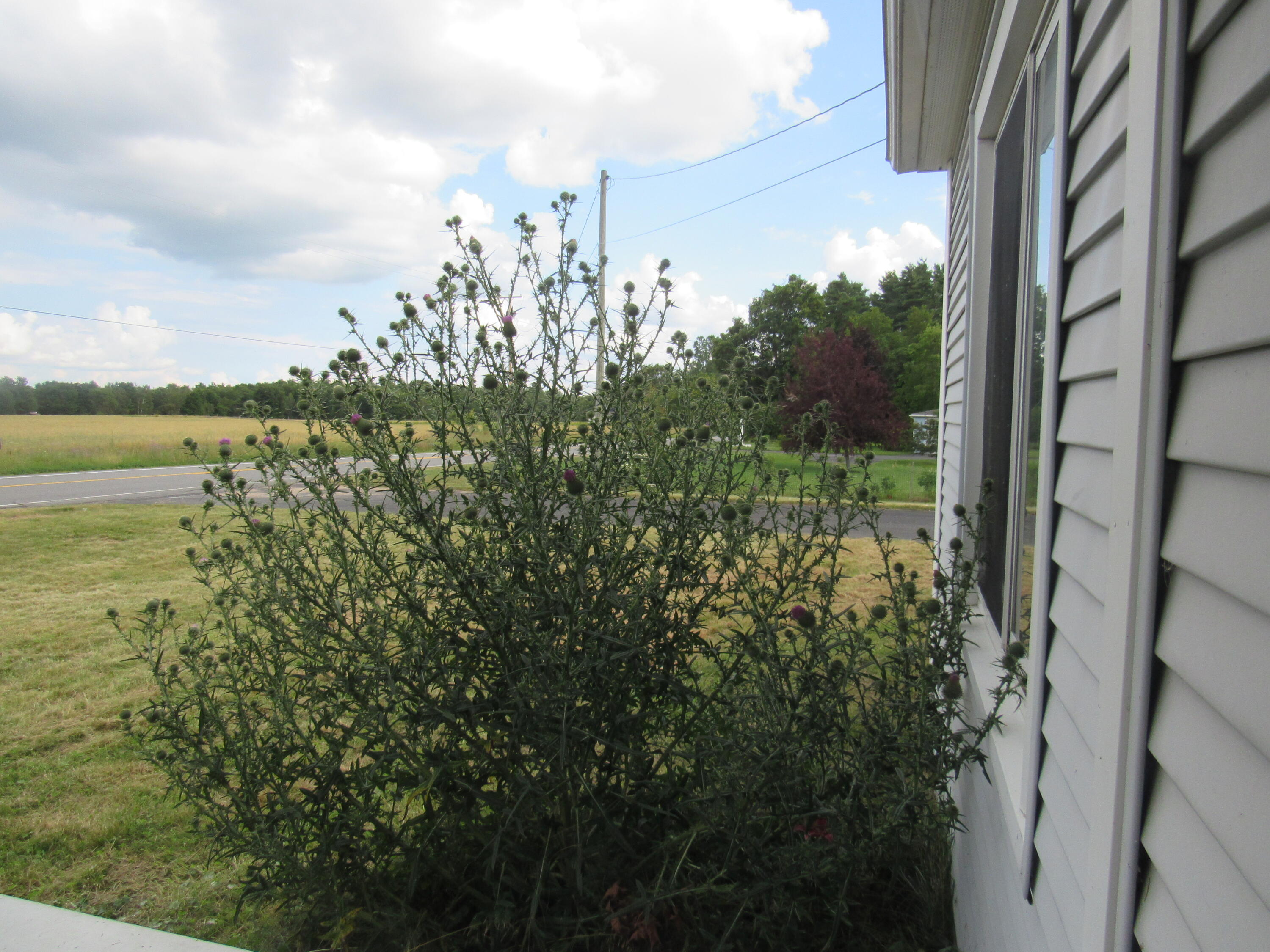 523 Picketts Corners Road Saranac NY 12981