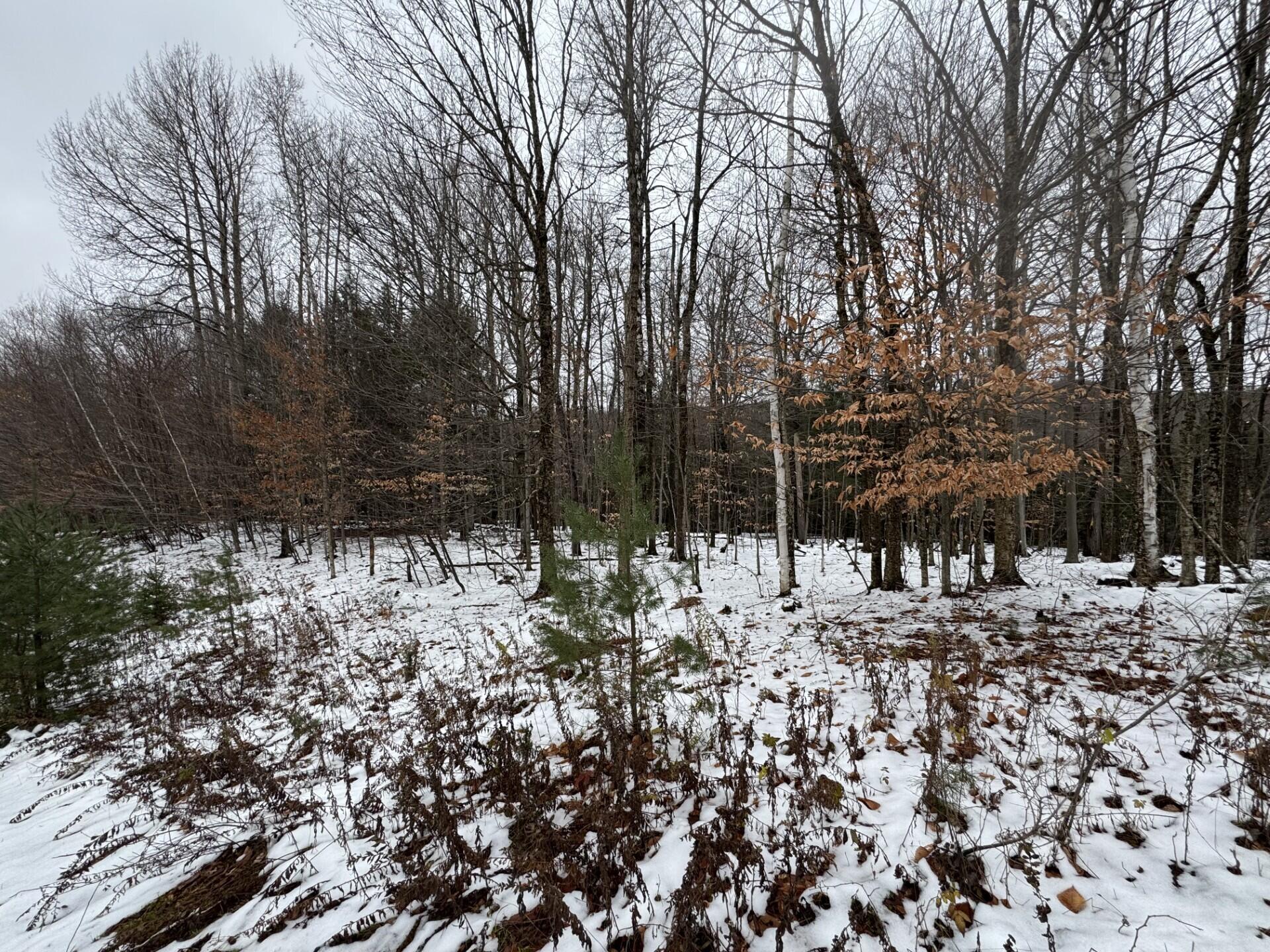 1026 County Route 25 Malone NY 12953