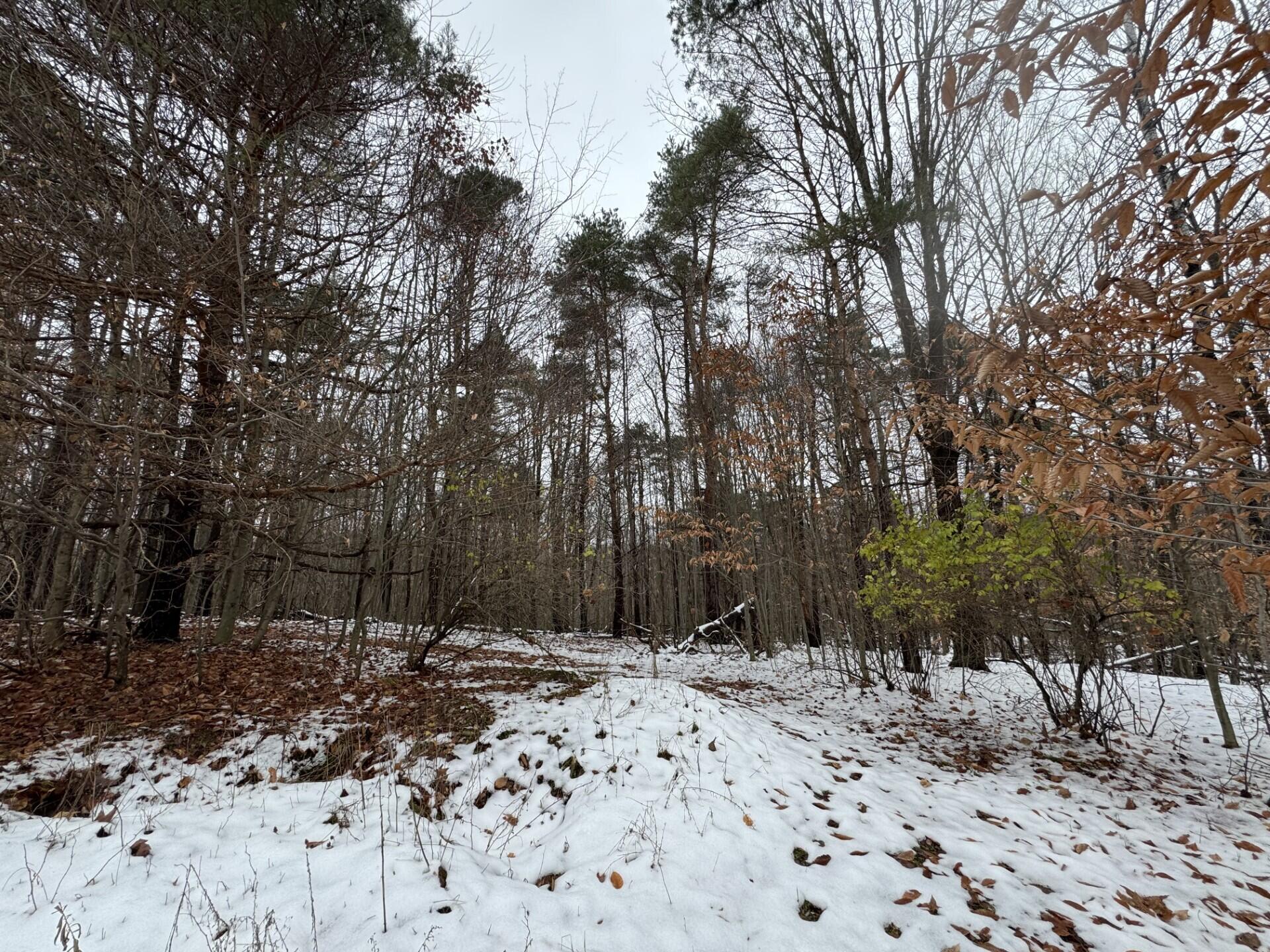 1026 County Route 25 Malone NY 12953