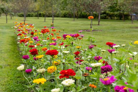 2783 Essex Road Essex NY 12936