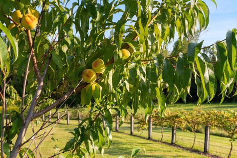 2783 Essex Road Essex NY 12936