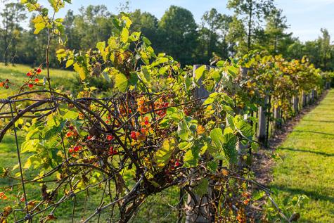 2783 Essex Road Essex NY 12936