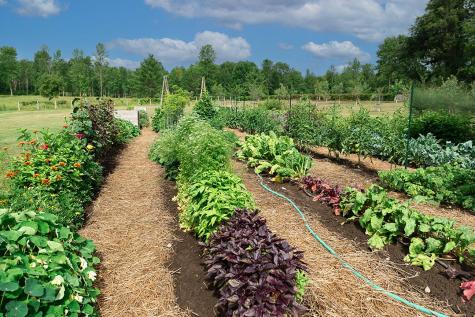 2783 Essex Road Essex NY 12936