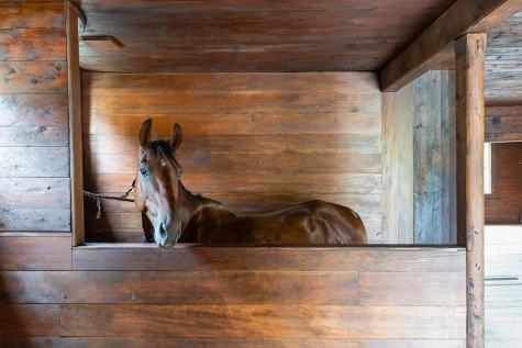 2783 Essex Road Essex NY 12936