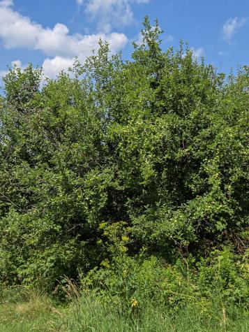 563 State Route 11b Dickinson Center NY 12930