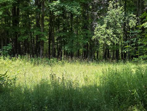 563 State Route 11b Dickinson Center NY 12930