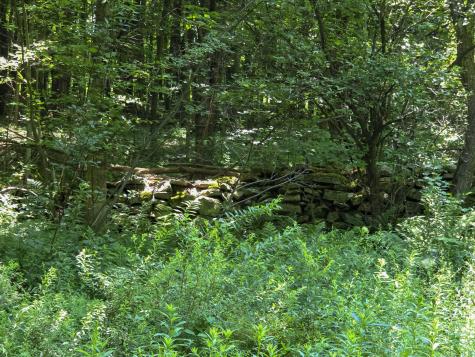 563 State Route 11b Dickinson Center NY 12930