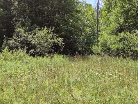 563 State Route 11b Dickinson Center NY 12930