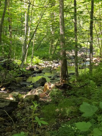 563 State Route 11b Dickinson Center NY 12930