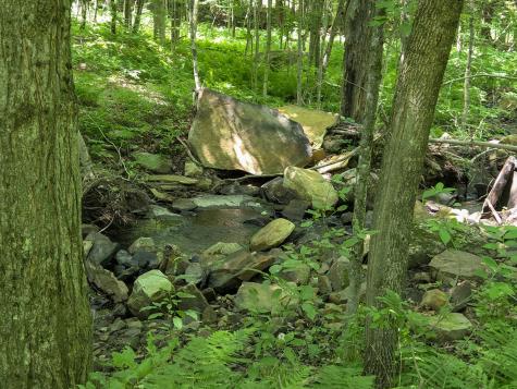 563 State Route 11b Dickinson Center NY 12930