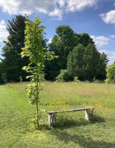 526 North Star Road Mooers NY 12958