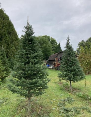 526 North Star Road Mooers NY 12958