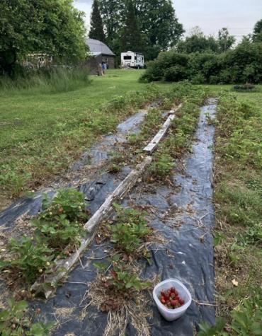 526 North Star Road Mooers NY 12958