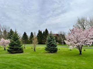 732 Cumberland Head Road Plattsburgh NY 12901