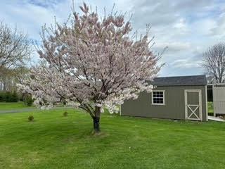 732 Cumberland Head Road Plattsburgh NY 12901