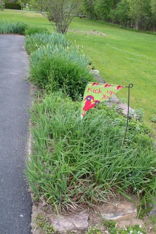 8 Cobblestone Drive Morrisonville NY 12962