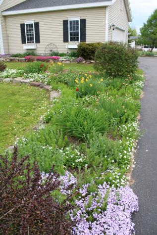8 Cobblestone Drive Morrisonville NY 12962
