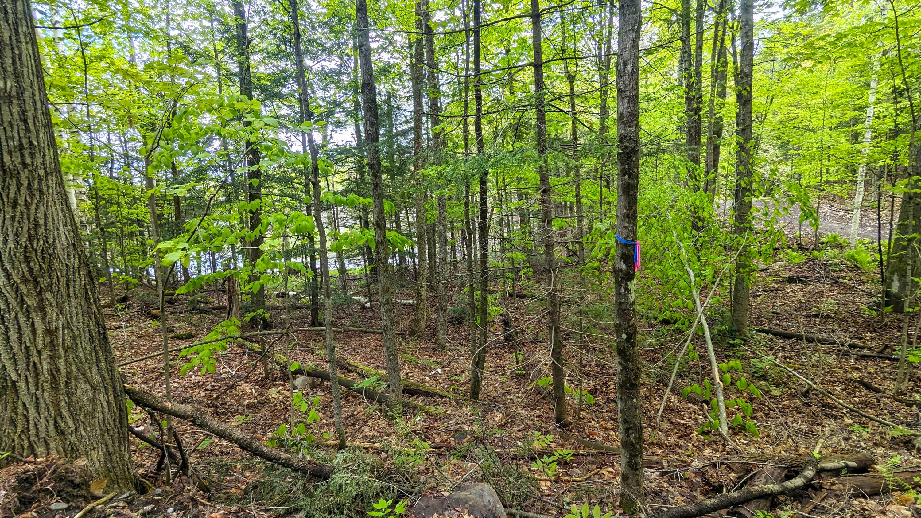 118 Sherman Lake Road Crown Point NY 12928