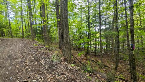 118 Sherman Lake Road Crown Point NY 12928