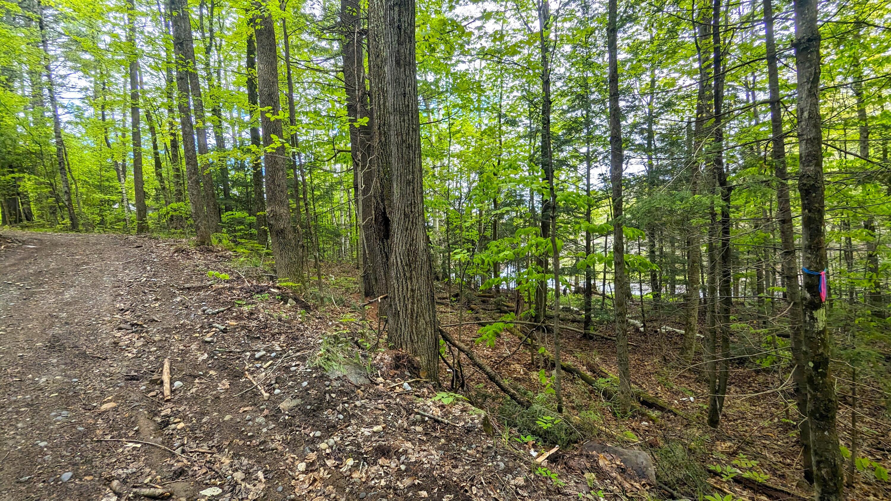 118 Sherman Lake Road Crown Point NY 12928