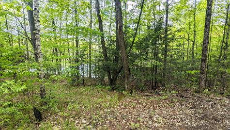 118 Sherman Lake Road Crown Point NY 12928