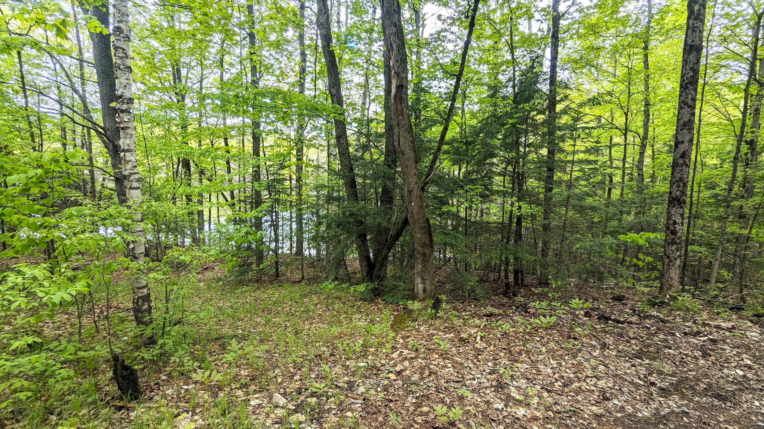 118 Sherman Lake Road Crown Point NY 12928