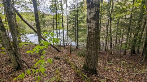 118 Sherman Lake Road Crown Point NY 12928