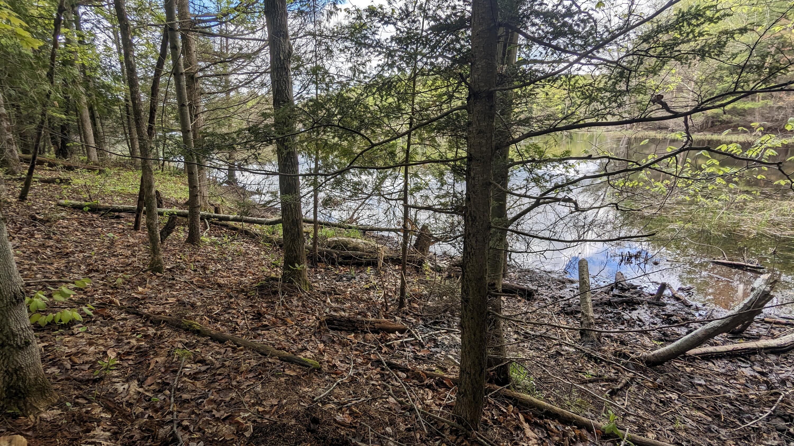 118 Sherman Lake Road Crown Point NY 12928