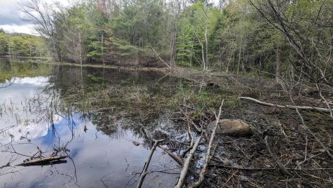 118 Sherman Lake Road Crown Point NY 12928