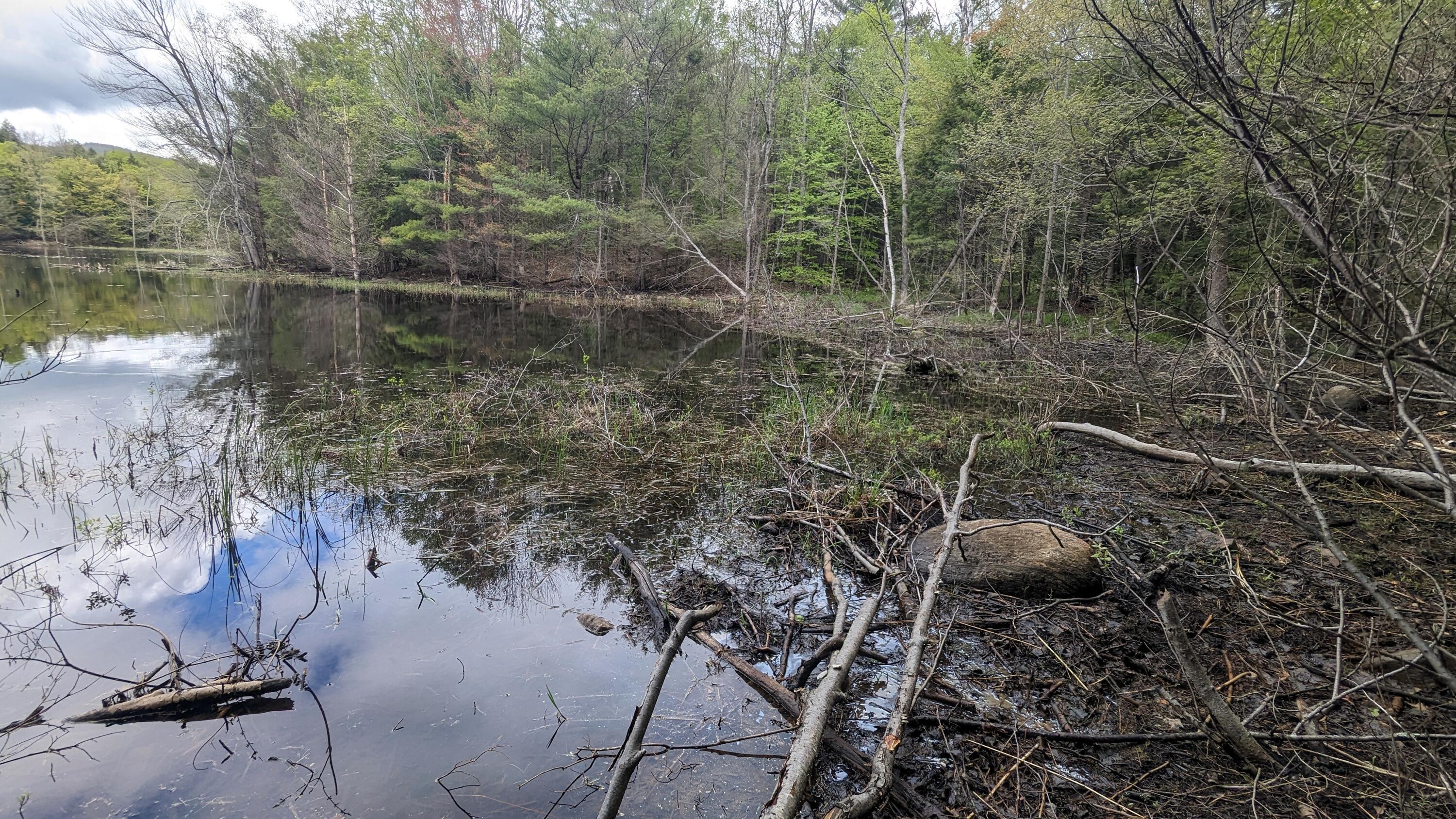 118 Sherman Lake Road Crown Point NY 12928