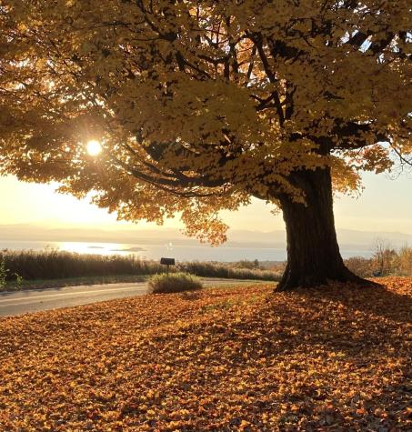 1001 Highlands Road Keeseville NY 12944