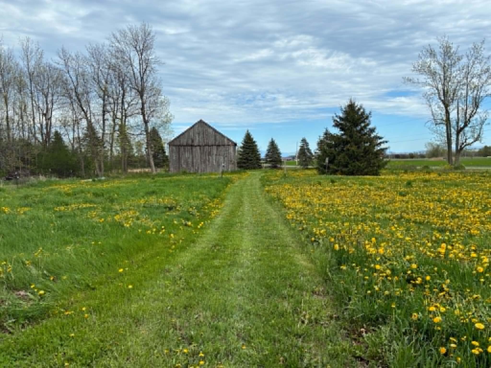 96 Davern Road Peru NY 12972