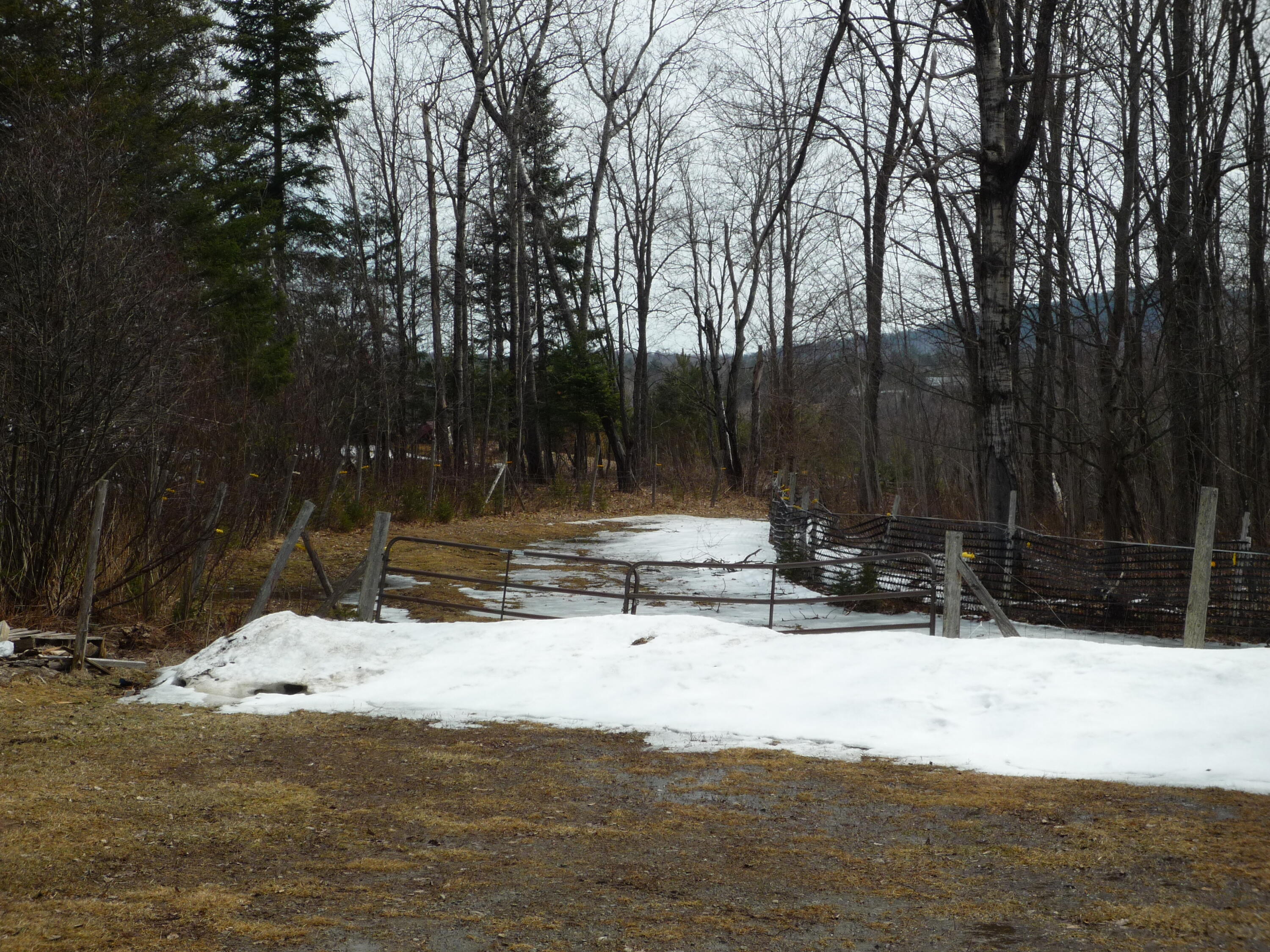4951 Route 3 Saranac NY 12981