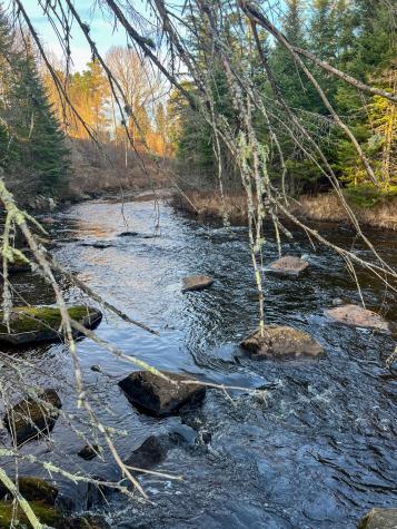 1666 State Route 3 Bloomingdale NY 12913