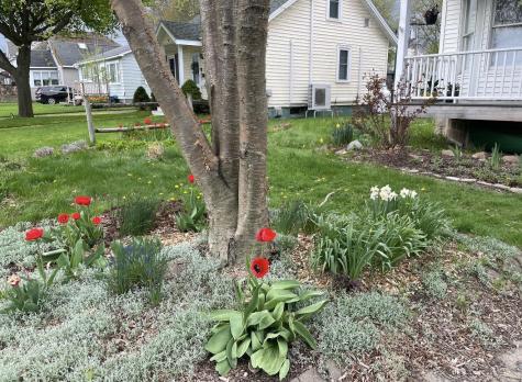 17 Lozier Place Plattsburgh NY 12901