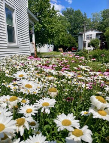 17 Lozier Place Plattsburgh NY 12901