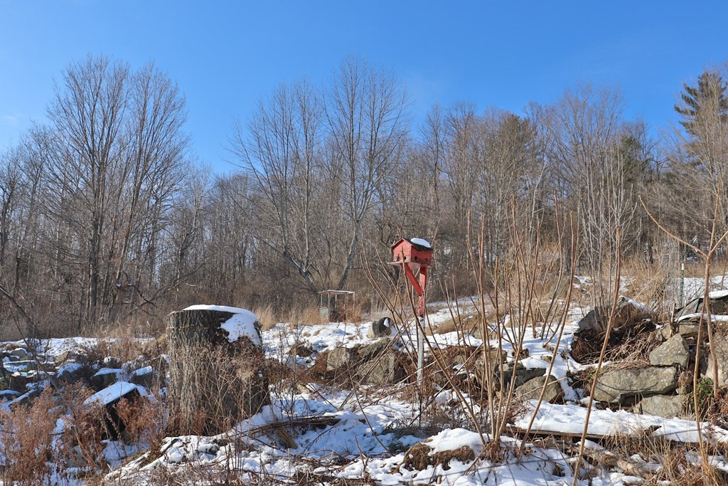 264 Ganong Drive Saranac NY 12981