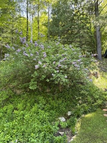 74 Old Lake Colby Road Saranac Lake NY 12983