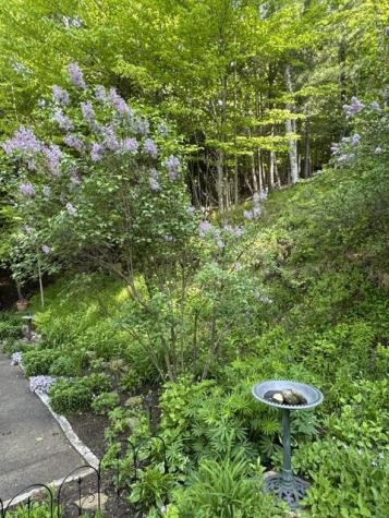 74 Old Lake Colby Road Saranac Lake NY 12983